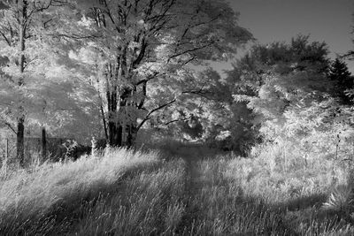 g13/06/570306/3/173418289.8dd644d6.JPEG