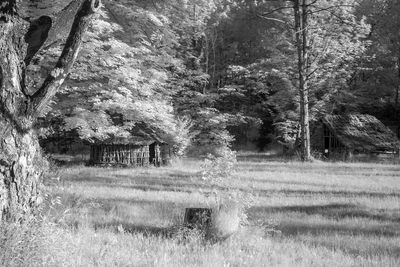 g13/06/570306/3/173428660.505d0b96.JPEG