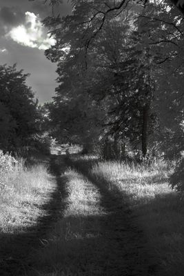 g13/06/570306/3/173441606.ae495957.JPEG