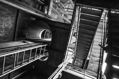 Looking Up_D747340-1-2.jpg