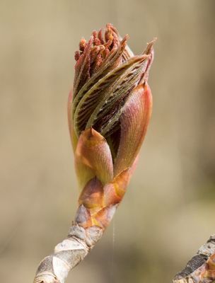 P4030266-1.jpg