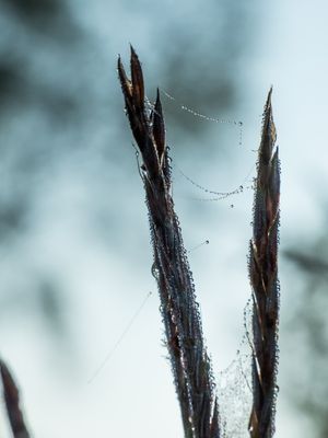 P8210989-1.jpg