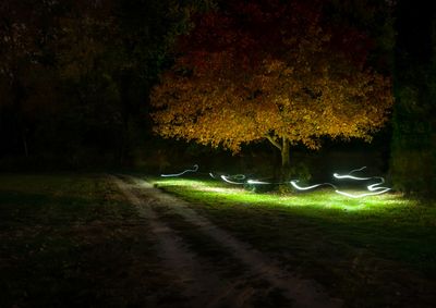 24 x 17 The Old Fairy Road_E700525-1-4 c.jpg