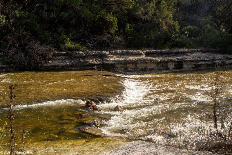 Bull Creek - C15816.jpg