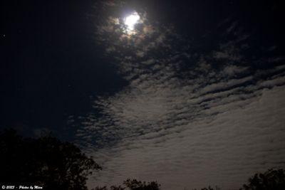 November 26th, 2023 - Cloudy Night Sky - C15191