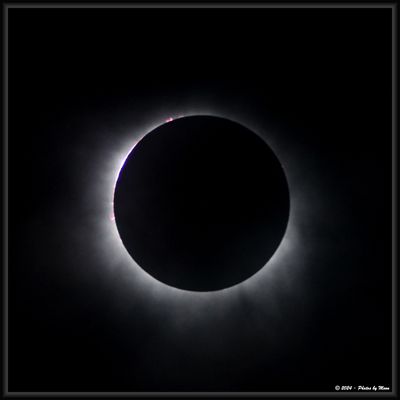 4-8-24 Eclipse - 1C16976i
