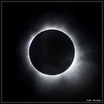 4-8-24 Eclipse - 1C16978i