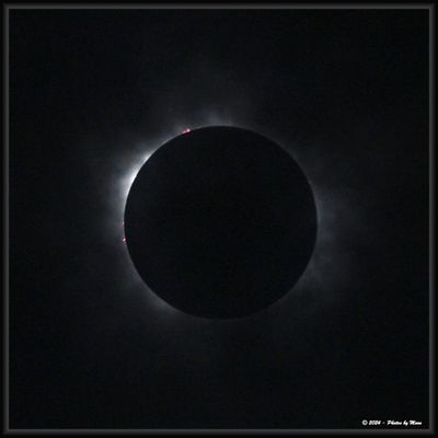 4-8-24 Eclipse - 1C16987i