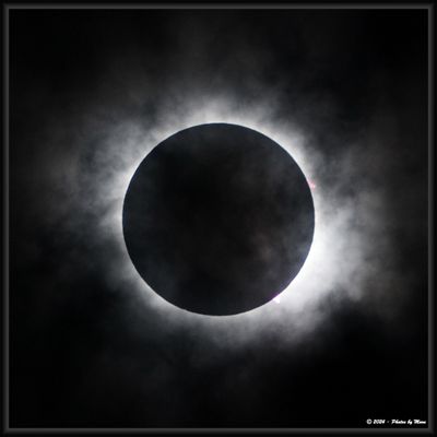 4-8-24 Eclipse - 1C17021