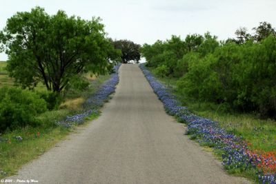 Things alongside the roads in Texas