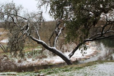 January 21st, 2025 - Snow in Texas - 1C18702