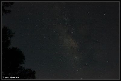 Stars