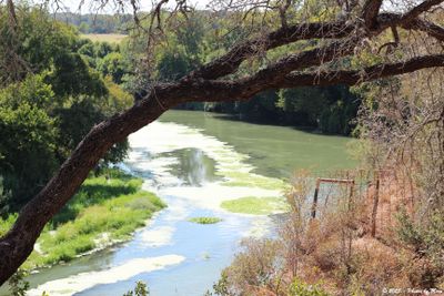 September 11th 2025 - Colorodo River - 1C29856
