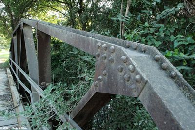 CR 462-Sandy Fork, Gonzales County