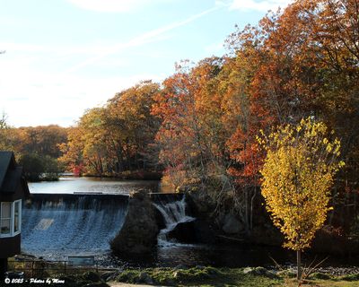 An attempt at a photo a day