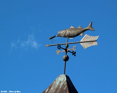 Windmills, Watertowers and Weathervanes
