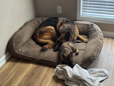 Bruce & Annika