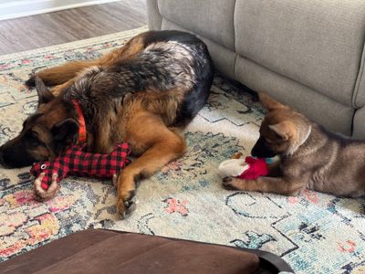 Annika & Bruce