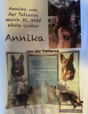Annika, Mom & Dad