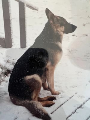 Cito 1990