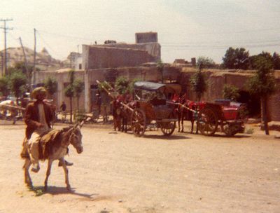 Afgh-75-Herat-man on donkey and tongas.jpg