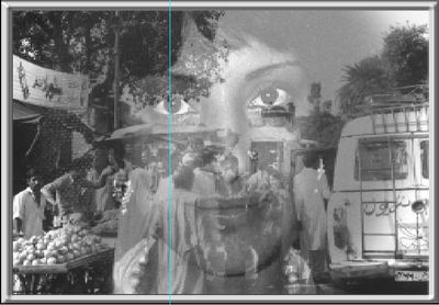 VIEW ALL OF THE PHOTOS FROM THE BOOK IN COLOR HERE