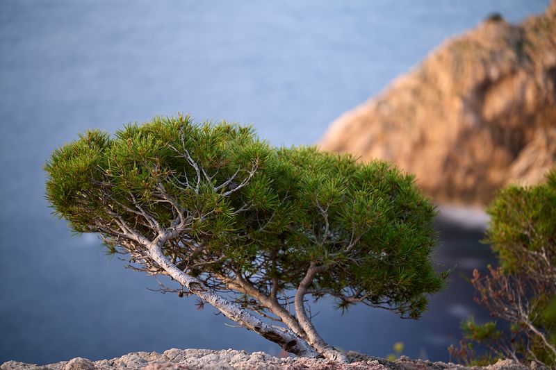MALLORCA, ES 2024