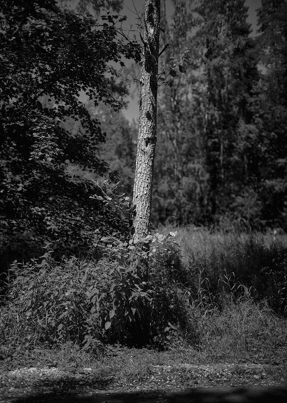 g13/06/941206/2/174679346.3a390796.JPEG