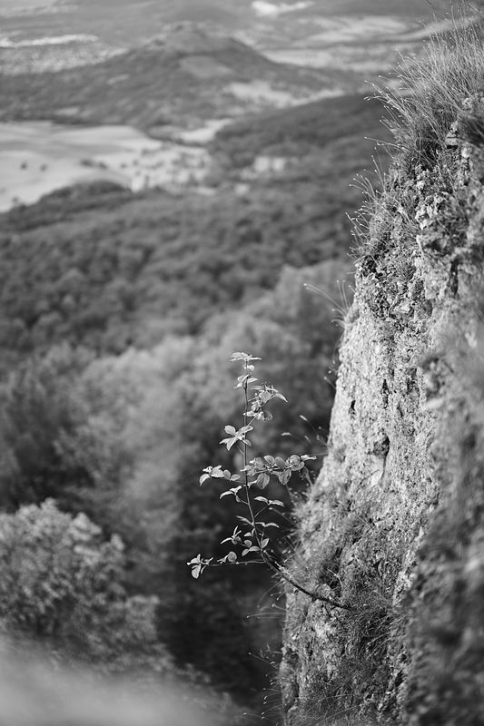 g13/06/941206/2/174717114.411d3a31.JPEG
