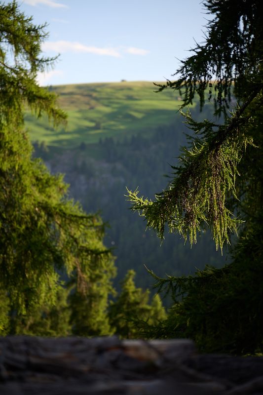 g13/06/941206/2/174796058.5d959d52.JPEG