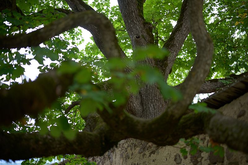 g13/06/941206/2/174796074.4dd35b70.JPEG