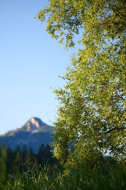 g13/06/941206/2/174796085.d319f054.JPEG