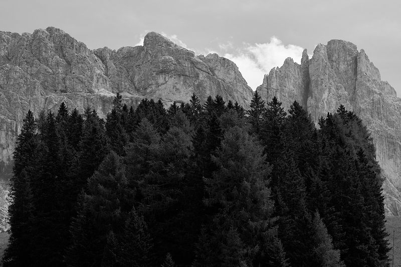 g13/06/941206/2/174796104.7687650e.JPEG