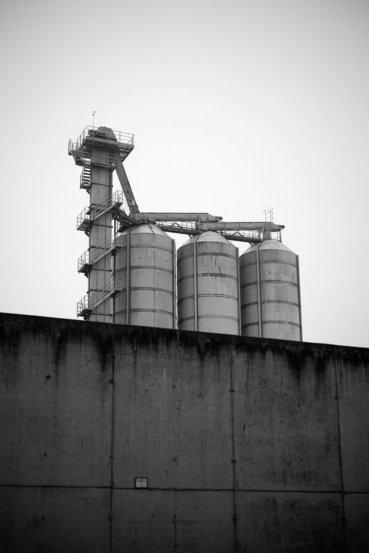 g13/06/941206/2/174917616.5a83828a.JPEG
