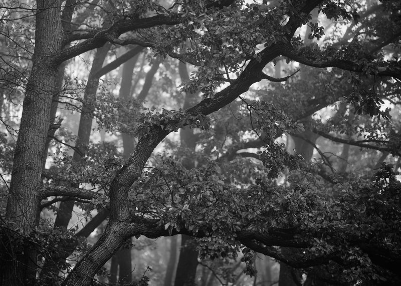 g13/06/941206/2/174991487.ba036654.JPEG