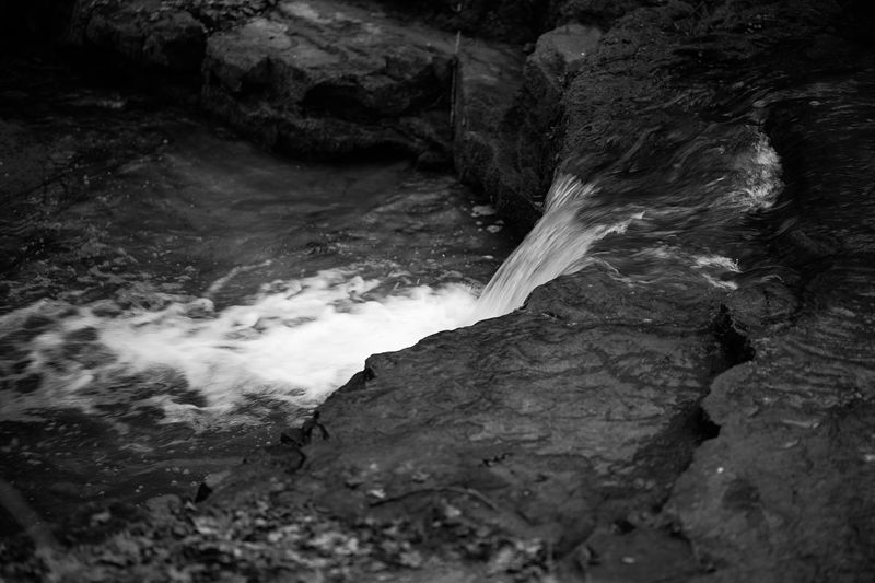 g13/06/941206/2/175181408.472443e4.JPEG