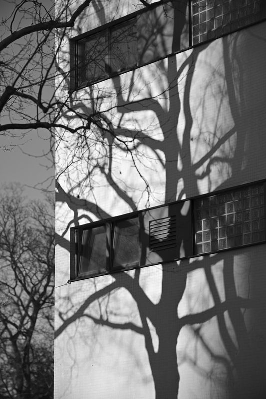 g13/06/941206/2/175320089.bfa75883.JPEG