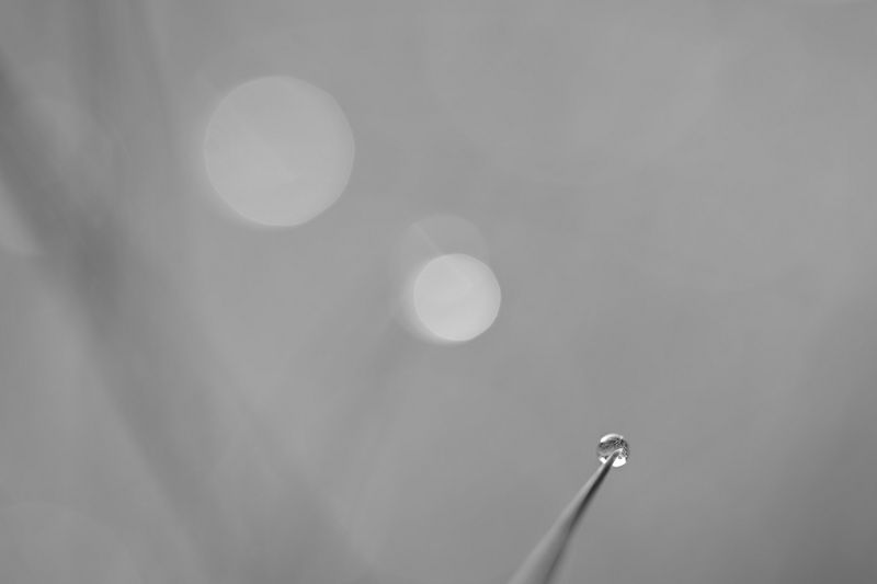 g13/06/941206/2/175398449.48f96b68.JPEG