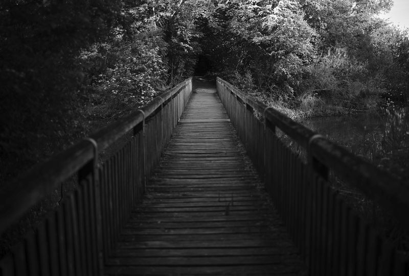 g13/06/941206/2/175457053.d3556d02.JPEG