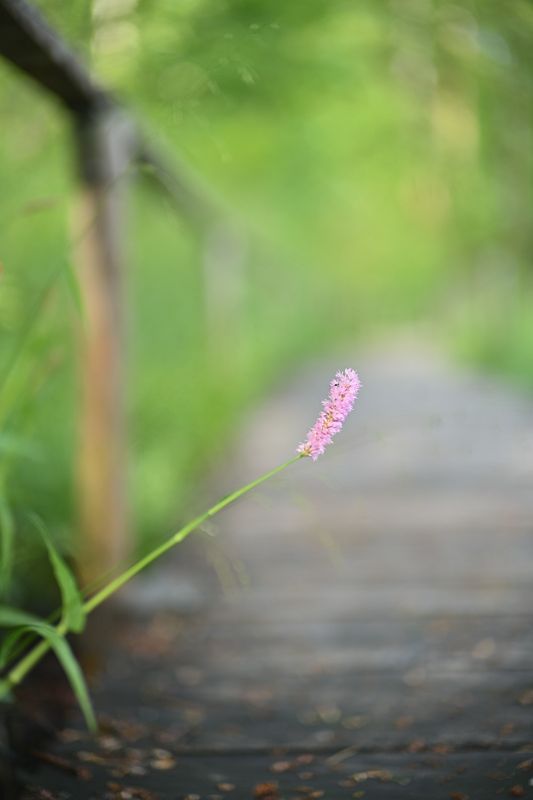 g13/06/941206/2/175475748.6df0c79a.JPEG
