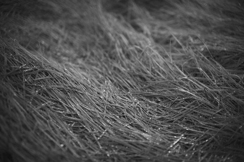 g13/06/941206/2/175475749.73a68f60.JPEG