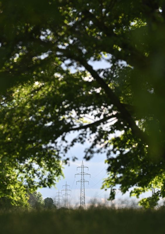 ENVIRONMENT