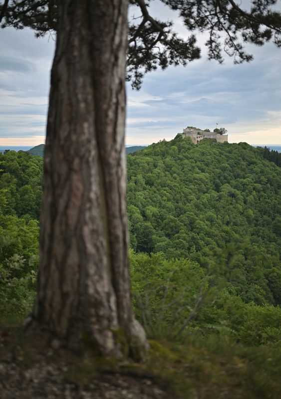 ENVIRONMENT