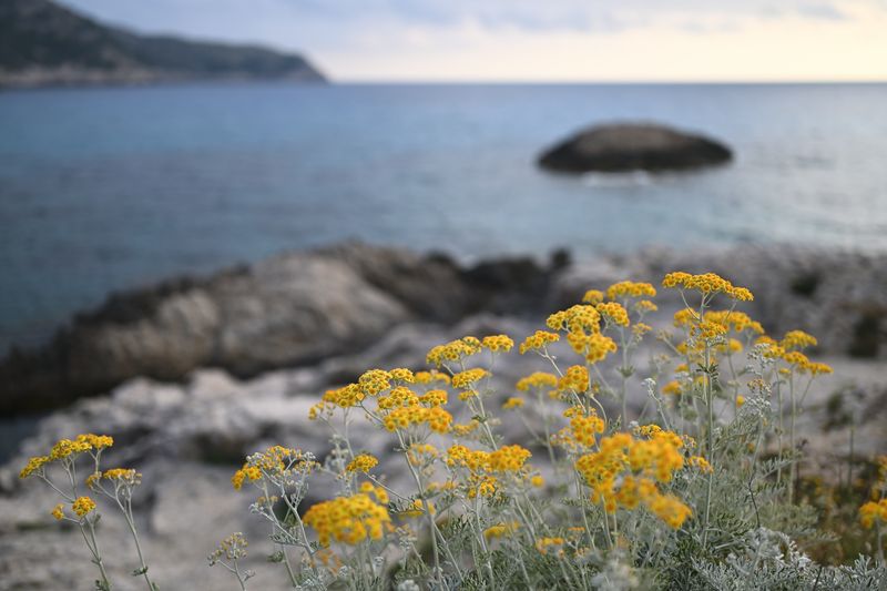 MALLORCA, ES 2025