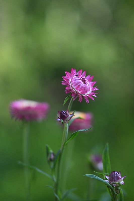 g13/06/941206/2/175725385.b68cc08c.JPEG