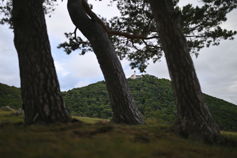ENVIRONMENT