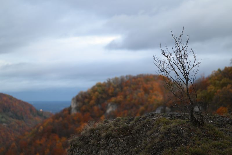 AUTUMN