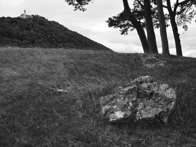 g13/06/941206/3/175780652.d4d71d61.JPEG