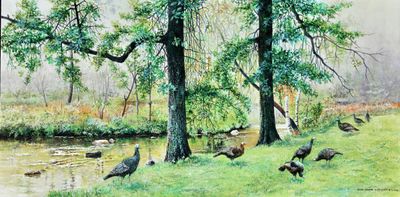 Turkeys at Townsend.JPG