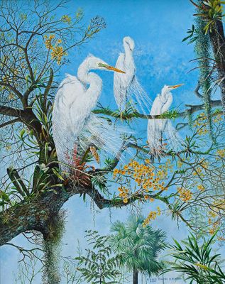 # 1 Hey Fred, the egrets are in the garden again.jpg